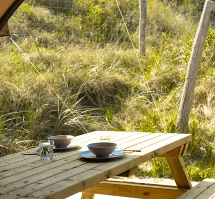 De Waard tent picknik tafel