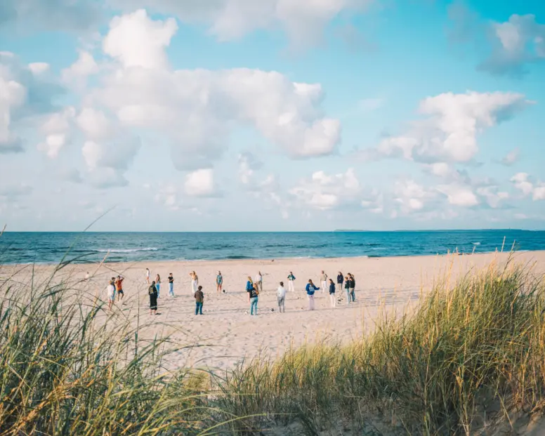 Surfana vlieland zomerkampen surfen